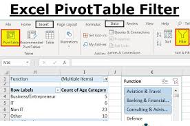 pivot table filter how to filter
