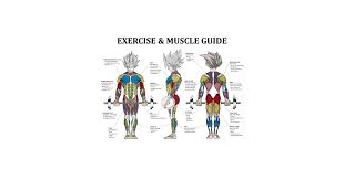 Exercise And Muscle Guide By Oolongtee