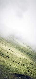 grass covered slope during foggy ...
