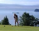 Herring Cove Provincial Park Golf Club in Campobello, New ...