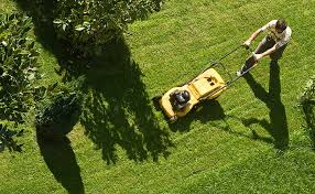 Lawn Mowing Tips And Tricks Understanding The Basics