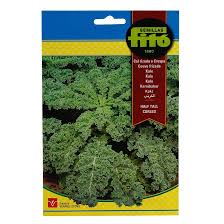 fito kale seed pack in dubai