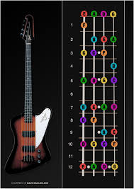 Bass Guitar Notes Bass Guitar Notes Poster By