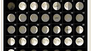 All calendar templates are free, blank, and printable! Free Printable February 2021 Moon Phases Calendar
