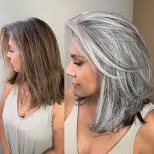 See what you would look like with different hair color! Transitioning To Gray Hair 101 New Ways To Go Gray In 2020 Hair Adviser