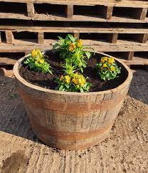 Half Barrel Garden Planter