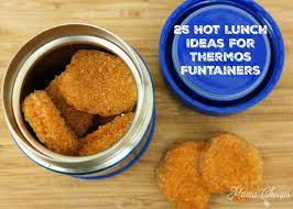 25 thermos funtainer hot lunch ideas