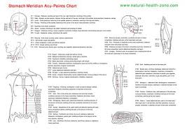 Stomach Meridian Pdf Free Download Acupuncture