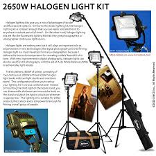 Photography Halogen Studio Photo Lighting 2650w Light Kit W Boom Linco Inc