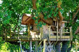 construire une cabane dans les arbres