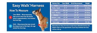 Premier Easy Walk Dog Harness Size Chart Www