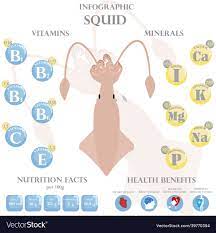 squid nutrition facts and health