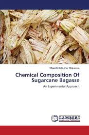 sugarcane bage paperback walmart
