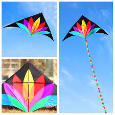 Rainbow Delta Kite With 10m Tails