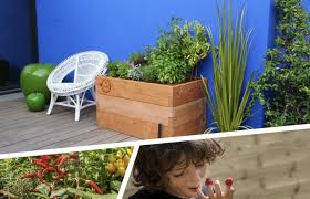 Innovative Raised Kitchen Garden Kit