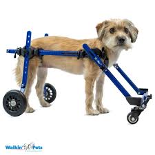walkin wheels mini dog wheelchair