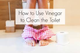 how to use vinegar to clean your toilet