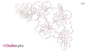 tropical flowers outline drawing images