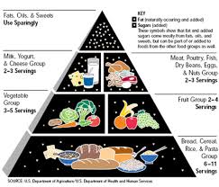 Nutrition Plate Unveiled To Replace The Food Pyramid The