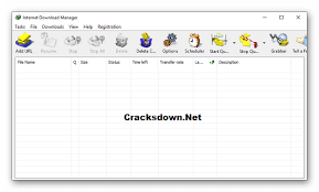 Free download paragon partition manager 11 10.17.13146. Internet Download Manager Crack V6 38 License Key 2021 Cracksdown Net