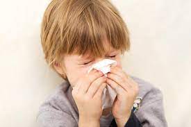 your toddler have allergies or a cold