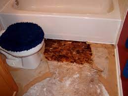 bathroom mold prevention