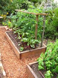 Vegetable Garden Ideas Landscaping