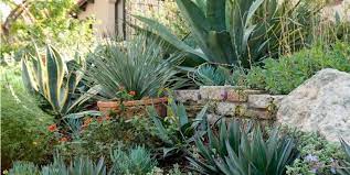 Spanish Garden Design Landscaping Network