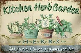 rustic kitchen herb garden new tin
