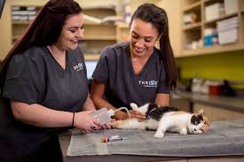 Healthy pets = happy pets. Affordable Veterinarians For Dogs Puppies Cats Kittens Thrive Vet