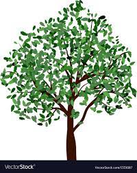 summer tree royalty free vector image