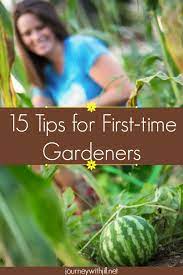 15 Tips For First Time Gardeners The