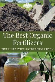 the best organic fertilizers for your