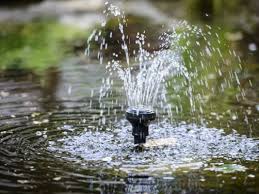 How To Choose A Solar Powered Pond Pump