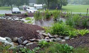 It functions like a rain garden by slowing water flow and allowing water to be absorbed by the soil and plants. Rain Garden