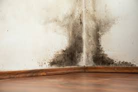 repair water damage to your drywall
