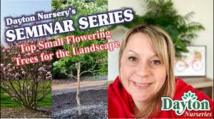 What are some flowering trees? The Best Small Flowering Trees For Ohio Landscapes Youtube
