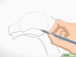 Ok, so we know how to draw a dragon head from one side. How To Draw A Dragon Head With Pictures Wikihow