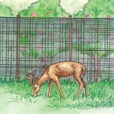deer stop netting gardening supplies
