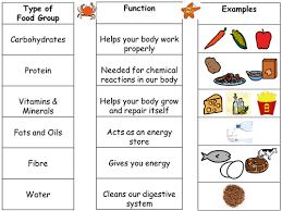 Nutrients, food, healthy diet other contents: Intro To Food Groups And Differentiated Worksheets Teaching Resources