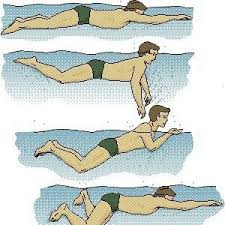 Resultado de imagen de estilo braza natacion