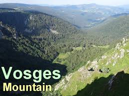Bienvenue sur la page officielle du get vosges !. France Vosges Mountains And Alsace Vineyards 50 Photos Ici La Nature Pictures