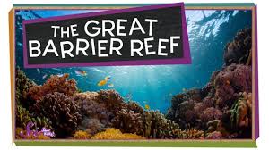 check out the great barrier reef you
