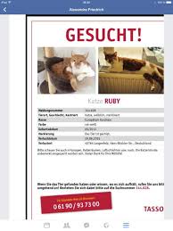 Bild auswählen, daten eingeben und ausdrucken! Vermisste Gefundene Katzen Langenfeld Rheinland Startseite Facebook