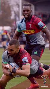 harlequins rugby hd wallpapers pxfuel