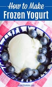 homemade frozen yogurt easy recipe