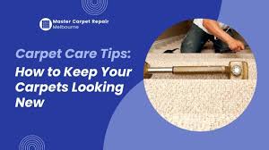 carpet care tips