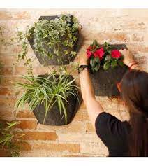 Wall Planters For Indoor Vertical