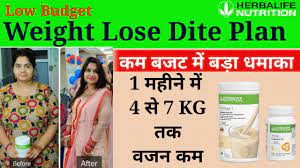 weight loss t plan