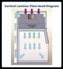 vertical laminar flow hood